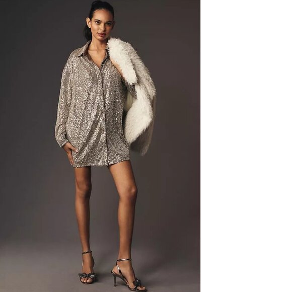 NWT ANTHROPOLOGIE Flat White Sequin Tunic Dress size MP PM Taupe color new - Picture 2 of 6